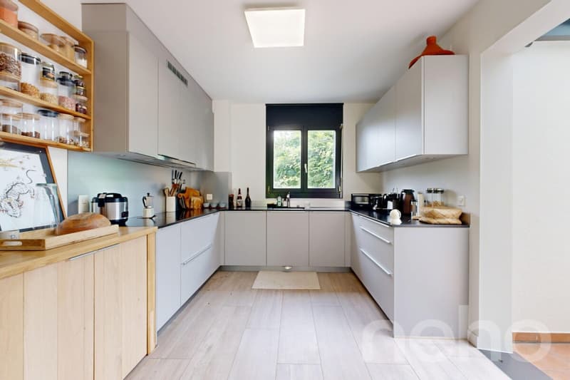 Prestigieuse villa familiale avec vaste jardin à Vandoeuvres (4)
