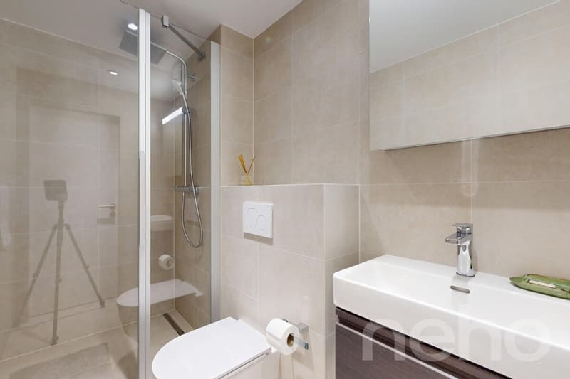 Prestigieuse villa familiale avec vaste jardin à Vandoeuvres (10)