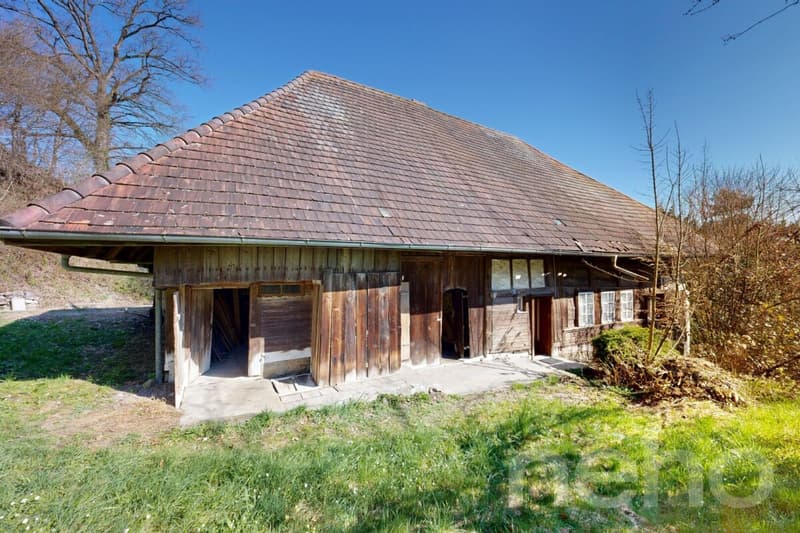 Historisches Doppeleinfamilienhaus am Waldrand mit Ausbaupotenzial (3)