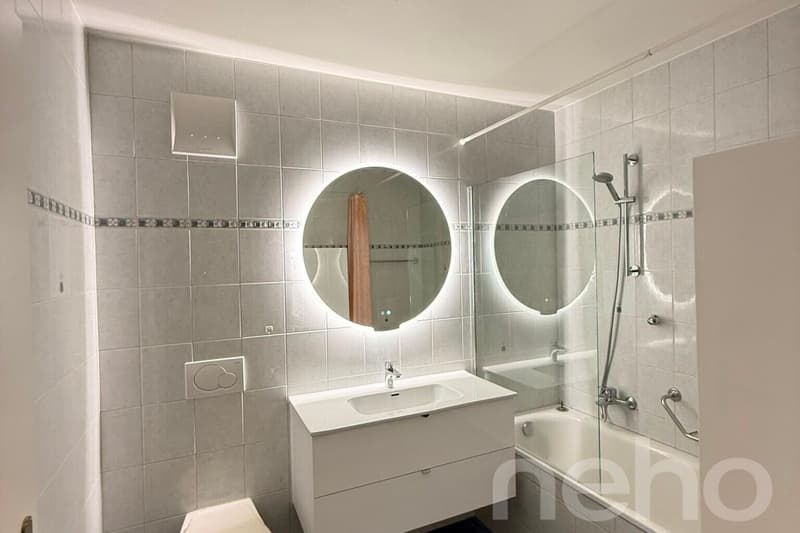 Appartement spacieux, lumineux et vue apprenable sur le lac ! (7)
