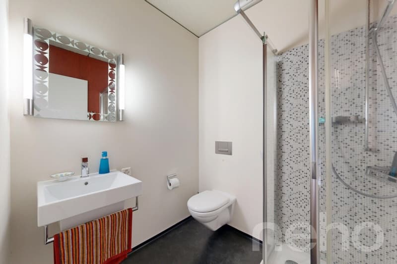 Stilvolle 3.5-Zimmer-Loftwohnung in Richterswil (7)