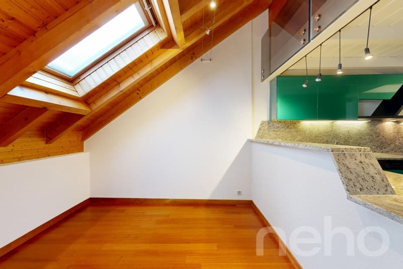 Duplex en attique avec vue lac panoramique à Blonay (9)