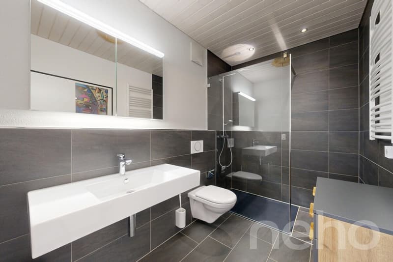 Exkl. 5.5-Attikawohnung 171 m2, Terrasse 50 m2 und Sauna von Klafs (10)