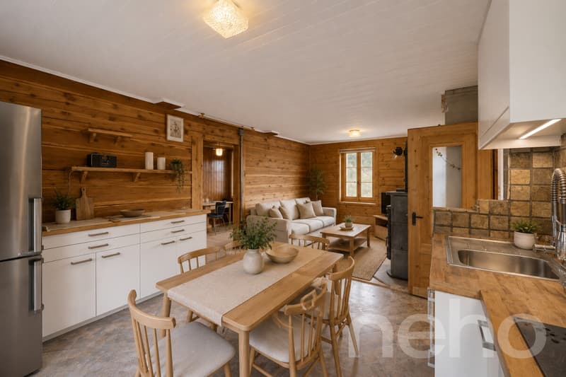 Superbe duplex traversant (3)