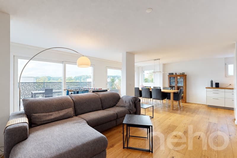 Modernes 5.5-Zimmer-Einfamilienhaus mit fantastischer Aussicht (2)