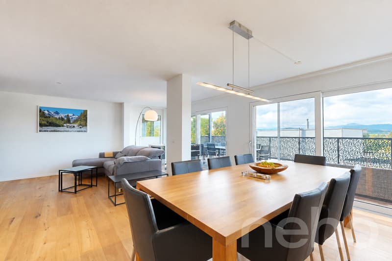 Modernes 5.5-Zimmer-Einfamilienhaus mit fantastischer Aussicht (4)