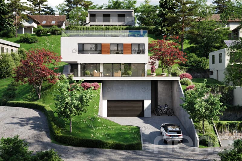 Villa d'architecte avec vue panoramique sur le lac et les montagnes (2)