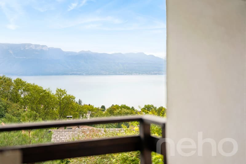 Maison familiale à Belmont-sur-Lausanne ? vue lac et exp. sud-est (7)