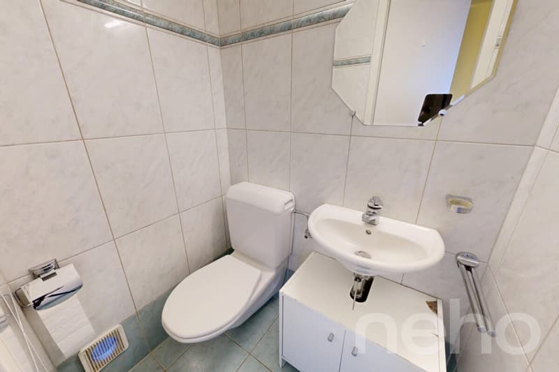 Ruhig gelegene 5-Zimmer-Wohnung mit Balkon und Tiefgaragenplatz (9)