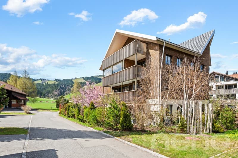Attika-Maisonette im Alpine Chic (1)