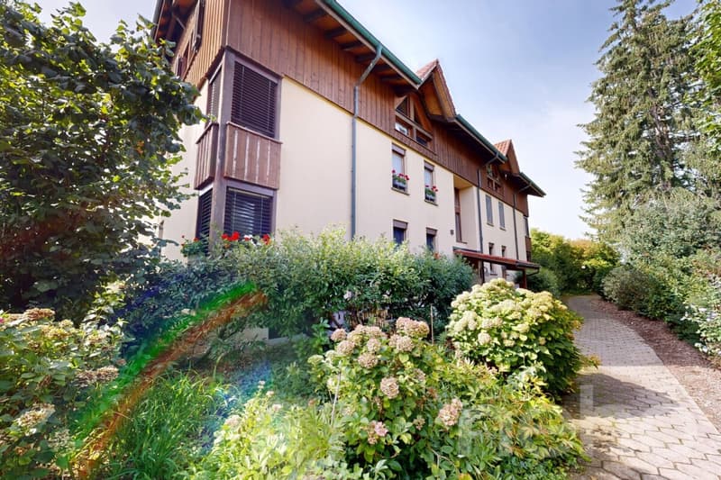 Spacieux appartement de 5 pièces sur deux niveaux, lumineux et calme (11)