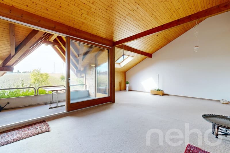 Spacieux appartement de 5 pièces sur deux niveaux, lumineux et calme (12)