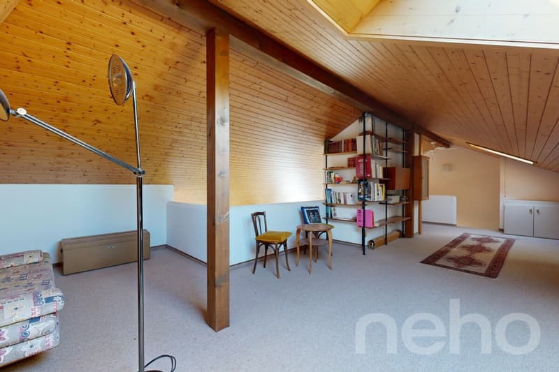 Spacieux appartement de 5 pièces sur deux niveaux, lumineux et calme (9)