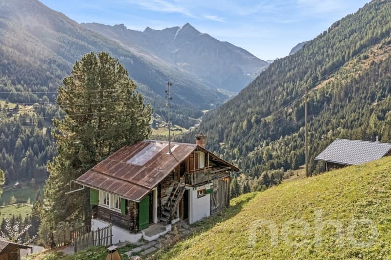 Mayen de caractère avec grand terrain à Hérémence. (4)