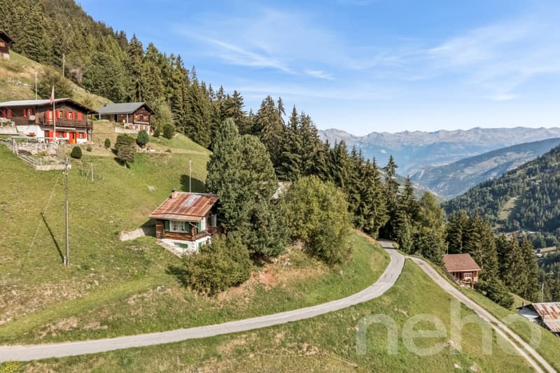 Mayen de caractère avec grand terrain à Hérémence. (2)