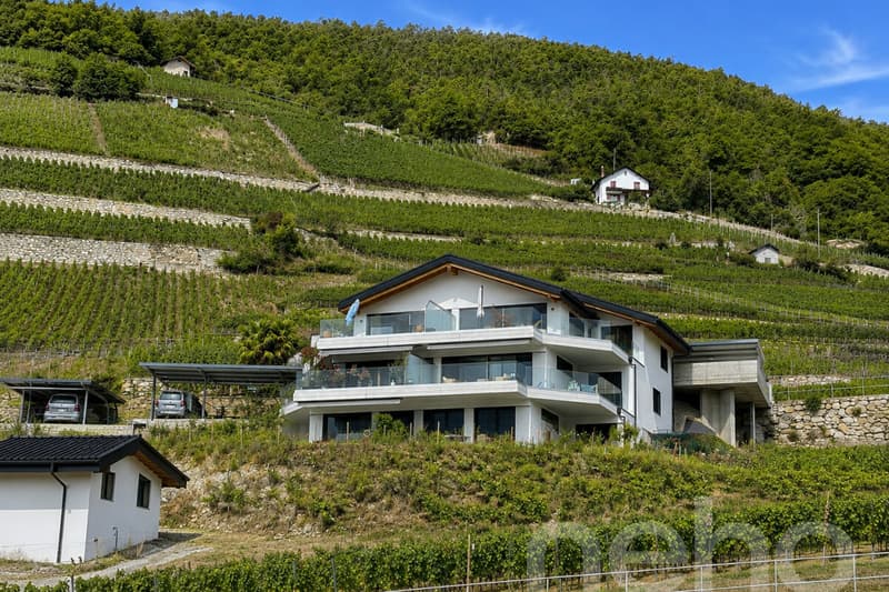Magnifique 3.5 pièces avec grande terrasse et jardin (2)