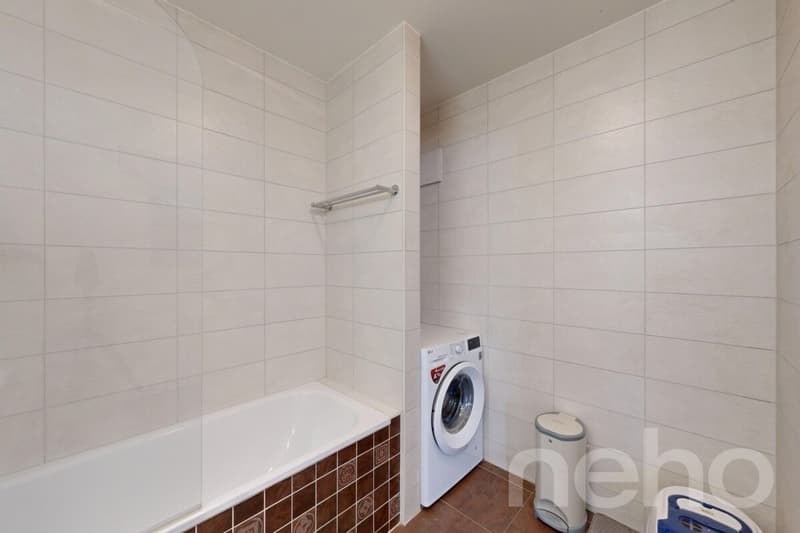 Appartement de 4.5 pièces au dernier étage avec vue sur les montagnes (8)