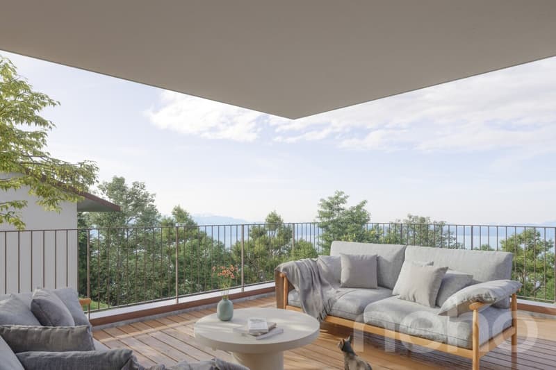 Villa individuelle d'exception: 8 pièces avec grand espace extérieur! (2)