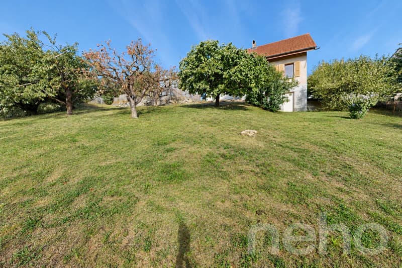 Maison individuelle avec grand jardin et vue dégagée proche d'Yverdon (11)