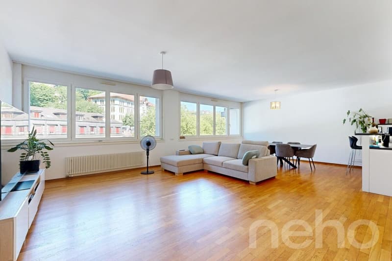 Appartement familial lumineux à deux pas de toutes les commodités (3)