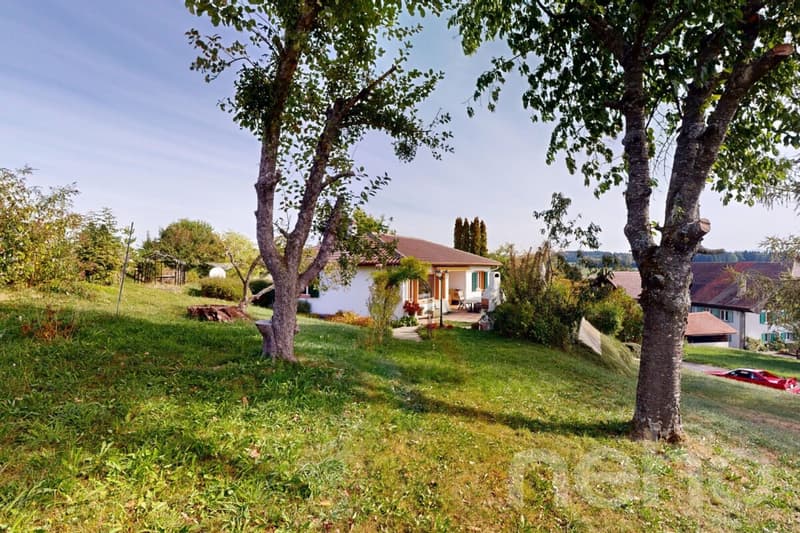 Maison individuelle avec grand jardin à Carrouge(Vaud) (1)