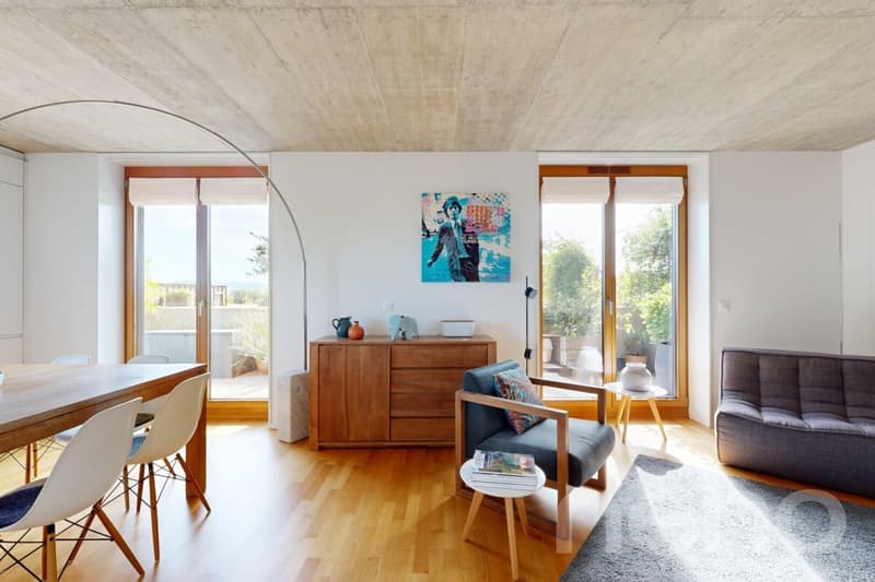 Appartement THPE en attique avec terrasse de 70 m² (2)