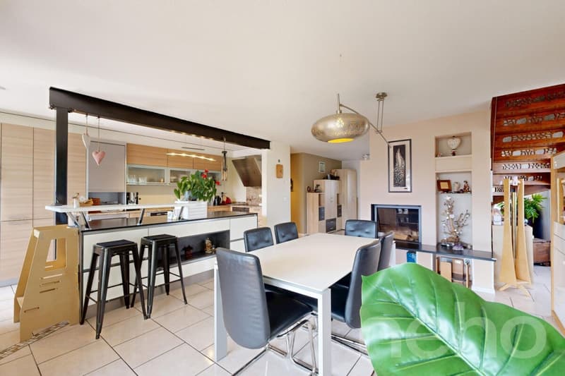 Spacieux duplex familial de 7.5 pcs (227 m²) (1)