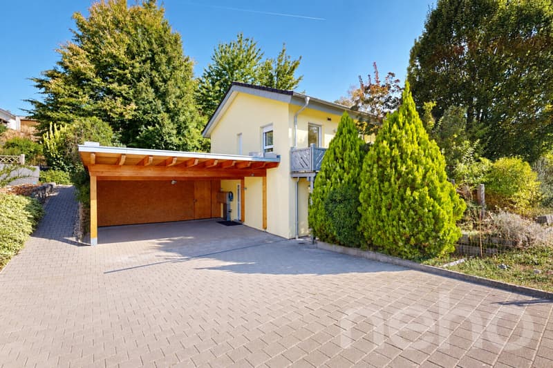 Modernes Einfamilienhaus mit flexiblem Grundriss (1)