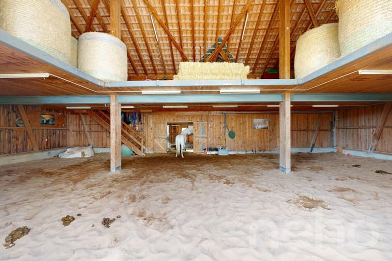 Bauernhof mit Seele - Wohnen, Wellness und Pferdehaltung an einem Ort (9)