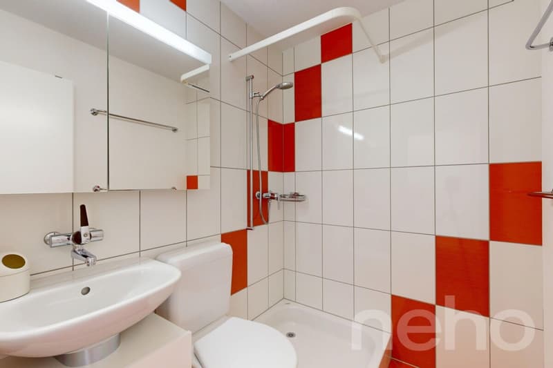 Ihr Rückzugsort in den Bergen - renoviert und bezugsbereit (7)