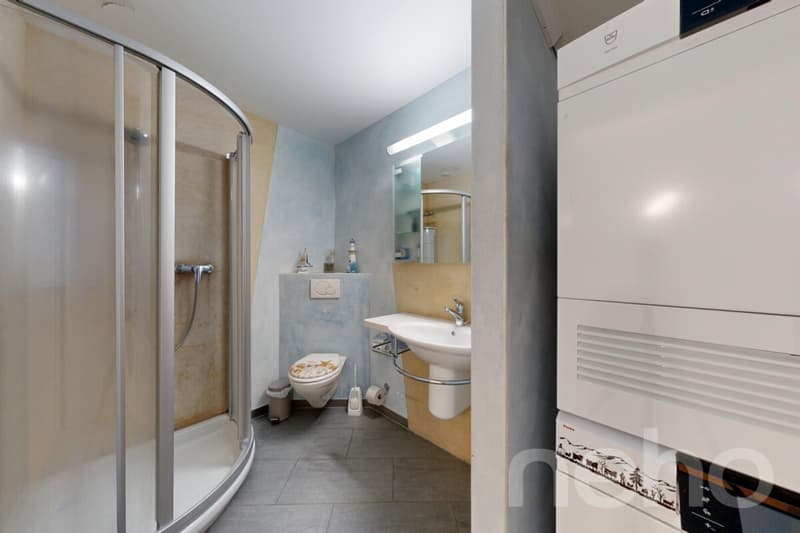 4.5-Zimmerwohnung mit Garten, Terrassen und viel Privatsphäre (10)