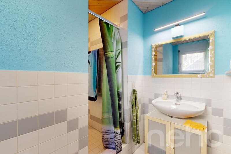 Sonniges 5.5-Zimmer-Doppeleinfamilienhaus im Grünen (9)