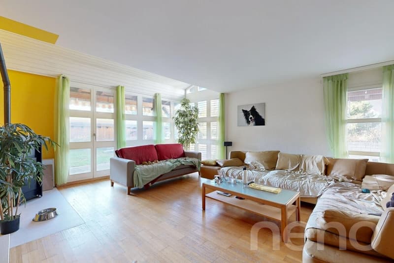 Sonniges 5.5-Zimmer-Doppeleinfamilienhaus im Grünen (3)