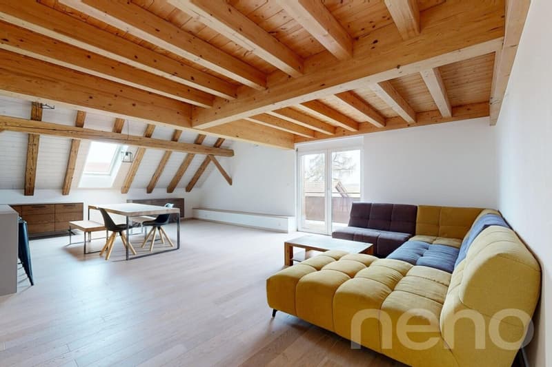 Magnifique appartement rénové dans une ancienne ferme (2)