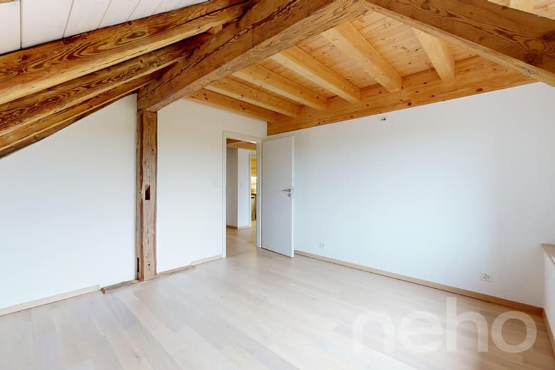 Magnifique appartement rénové dans une ancienne ferme (5)