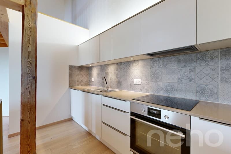 Magnifique appartement rénové dans une ancienne ferme (3)