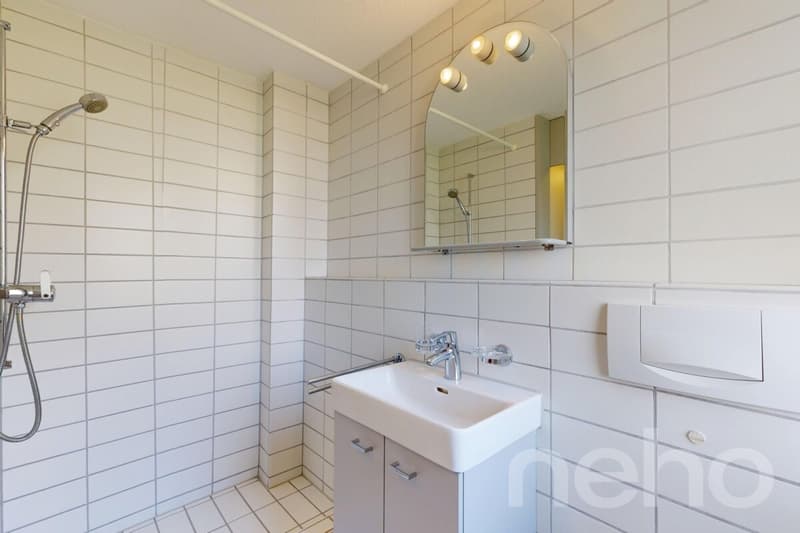 Aussergewöhnliches 5.5-Zimmer-Reihenhaus an Toplage (7)
