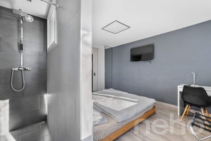 Hôtel à vendre : 26 chambres, 18'319 m² de terrain, vue sur le lac (5)