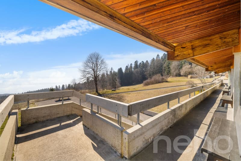 Hôtel à vendre : 26 chambres, 18'319 m² de terrain, vue sur le lac (12)