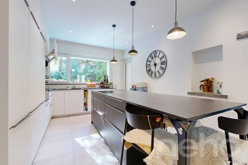 Magnifique maison 6.5 pièces sur 1'681 m² (5)