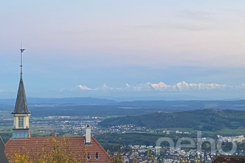 Grosszügige Attikawohnung mit Blick auf die Alpen (1)