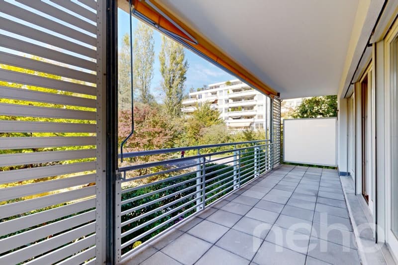 Sonniges Zuhause mit viel Potenzial (9)