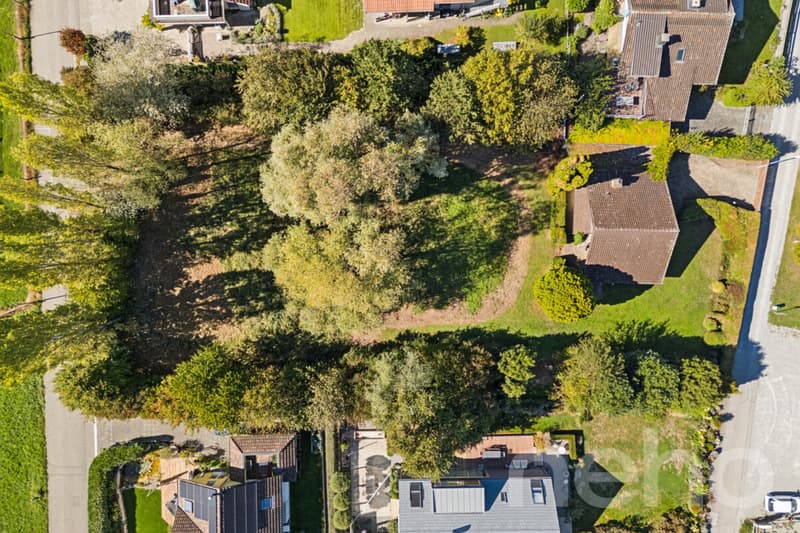 Einmalige Rarität am Bodensee ? exklusives Seegrundstück in Kesswil (7)