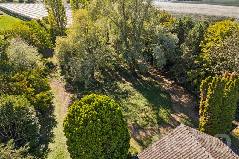 Einmalige Rarität am Bodensee ? exklusives Seegrundstück in Kesswil (8)