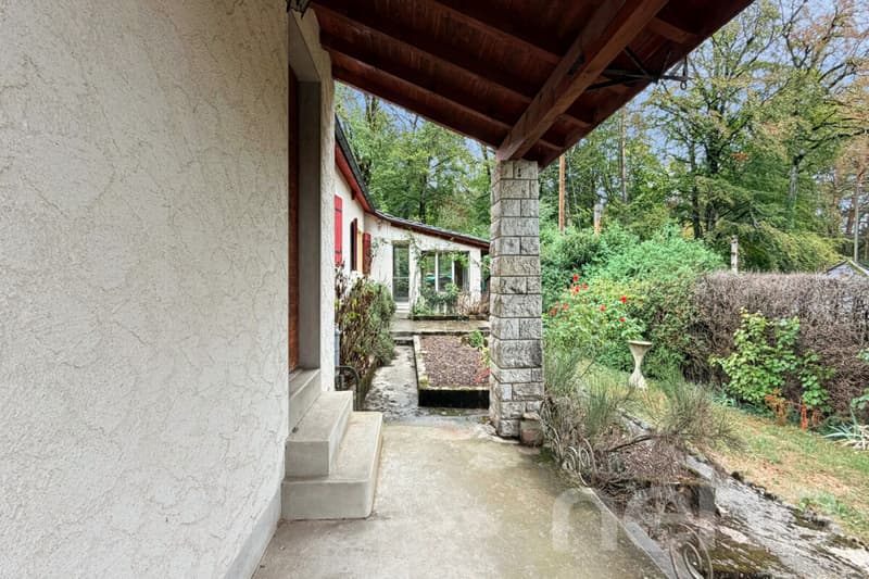 Chéserex : maison à rénover dans un écrin calme et verdoyant (10)