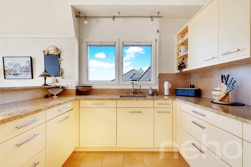 Magnifique duplex spacieux avec vue imprenable (10)