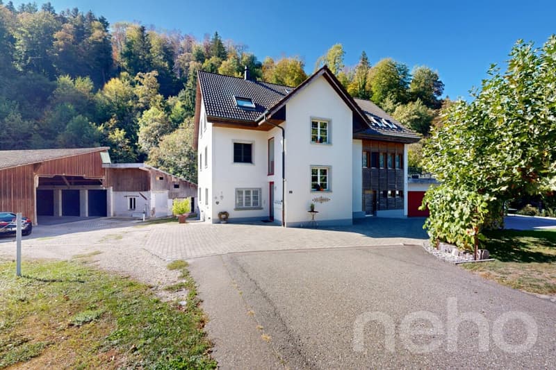 Lichtdurchflutete 5.5-Zimmer-Maisonette mit Galerie und Balkon (1)