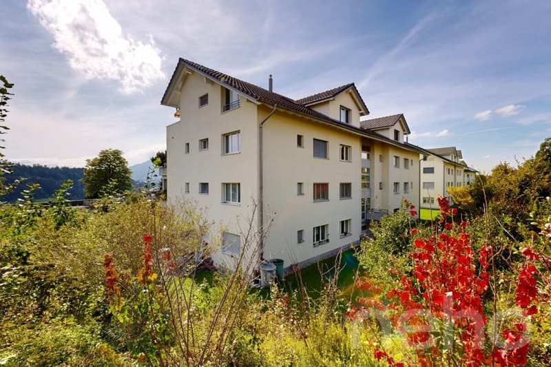 Grosszügige Familienwohnung mit grosser Südterrasse in Adligenswil (11)