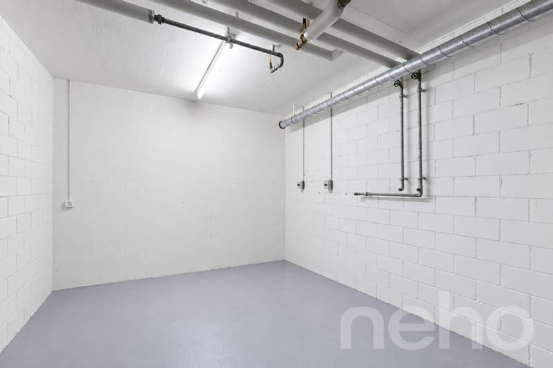Naturnahe 3.5-Zimmer-Maisonettewohnung in Dübendorf (10)