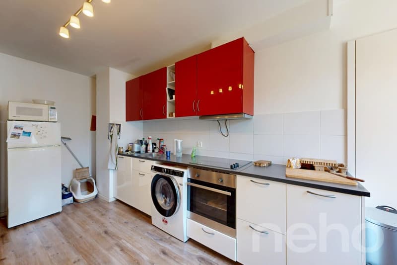 Appartement 2,5 pièces ? 70 m², exposition sud, à 10 min de Lausanne (10)
